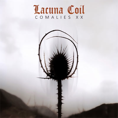 lacunacoil22b