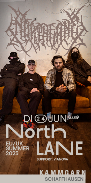 Northlane 300x600 SH