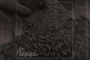 SIGNERI – Signeri