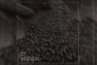 SIGNERI – Signeri