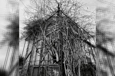 IMPURE WILHELMINA – Dead Decades (EP)