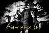 MR BISON enthüllen dem Song «The Promise» aus ihrem neuen Album «Echoes From The Universe», das im Februar '24 erscheint