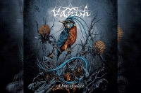 VANISH – A Hint Of Solace