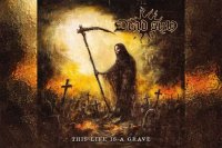 DEAD SUN - This Life Is A Grave