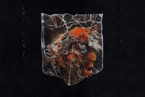 SHIELDS – Death &amp; Connection