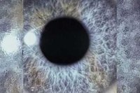 DAN SWANÖ – Moontower