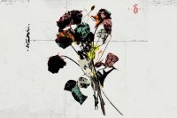 SHINEDOWN – EI8HT
