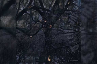 TRELLDOM – …By The Shadows…