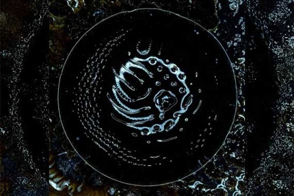 STONUS – Space To Dive