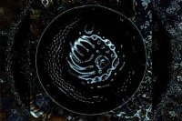 STONUS – Space To Dive