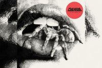 MASHEENA – Let The Spiders In