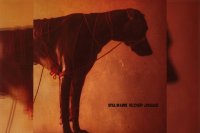 STILL IN LOVE – Recovery Language