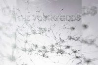 THE YOUNG GODS – Appear Disappear