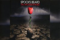 SPOCK`S BEARD – The Archaeoptimist