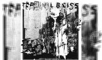 TERMINAL BLISS – Brute Err/ata EP