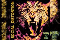 SOCIAL DISTORTION – Born To Kill