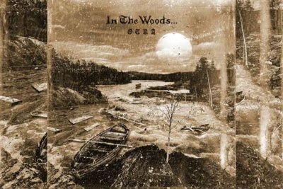 IN THE WOODS... – Otra