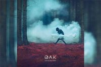 OAK – The Third Sleep