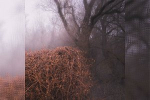 THE DEVIL&#039;S TRADE - Nincs Szennyezetlen Szép