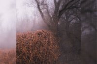 THE DEVIL&#039;S TRADE - Nincs Szennyezetlen Szép