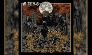 MAULE – Maule