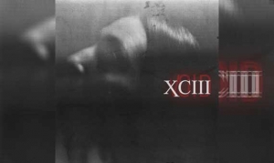 XCIII – Void