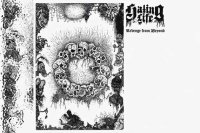 HATING LIFE – Revenge From Beyond (EP)