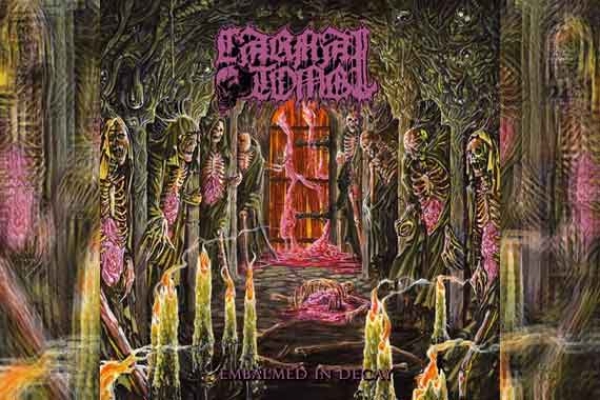 CARNAL TOMB – Embalmed in Decay