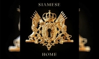 SIAMESE – Home