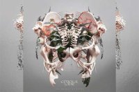 CRYSTAL LAKE – The Weight Of Sound