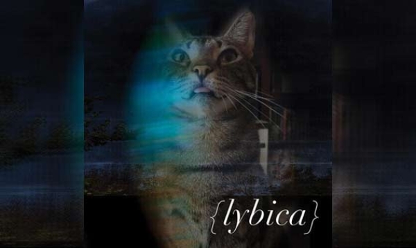 LYBICA – Lybica