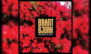 BRANT BJORK – Bougainvillea Suite