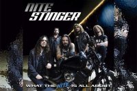 NITE STINGER – What The Nite Is All About